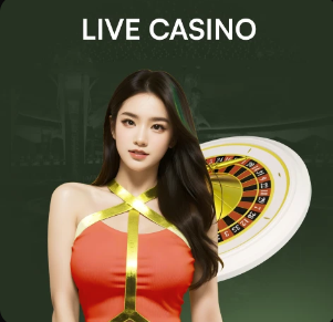 2026年4月4日智利甲科金博vs科布雷索直播【24直播网】